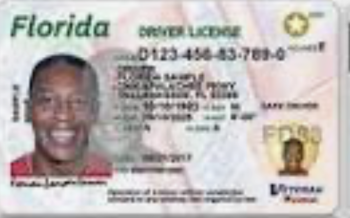 Cambian las reglas en las licencias de manejo en Florida